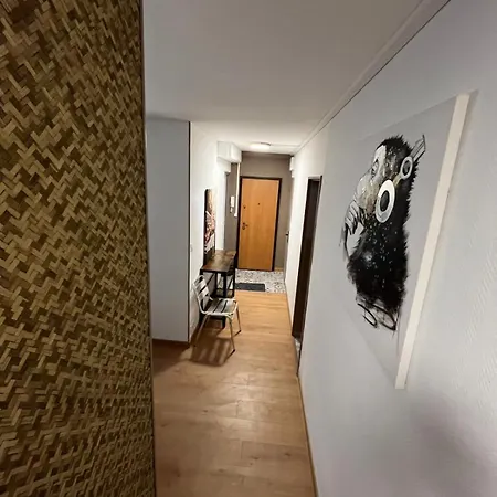 Apartment De 5 A Toulouse